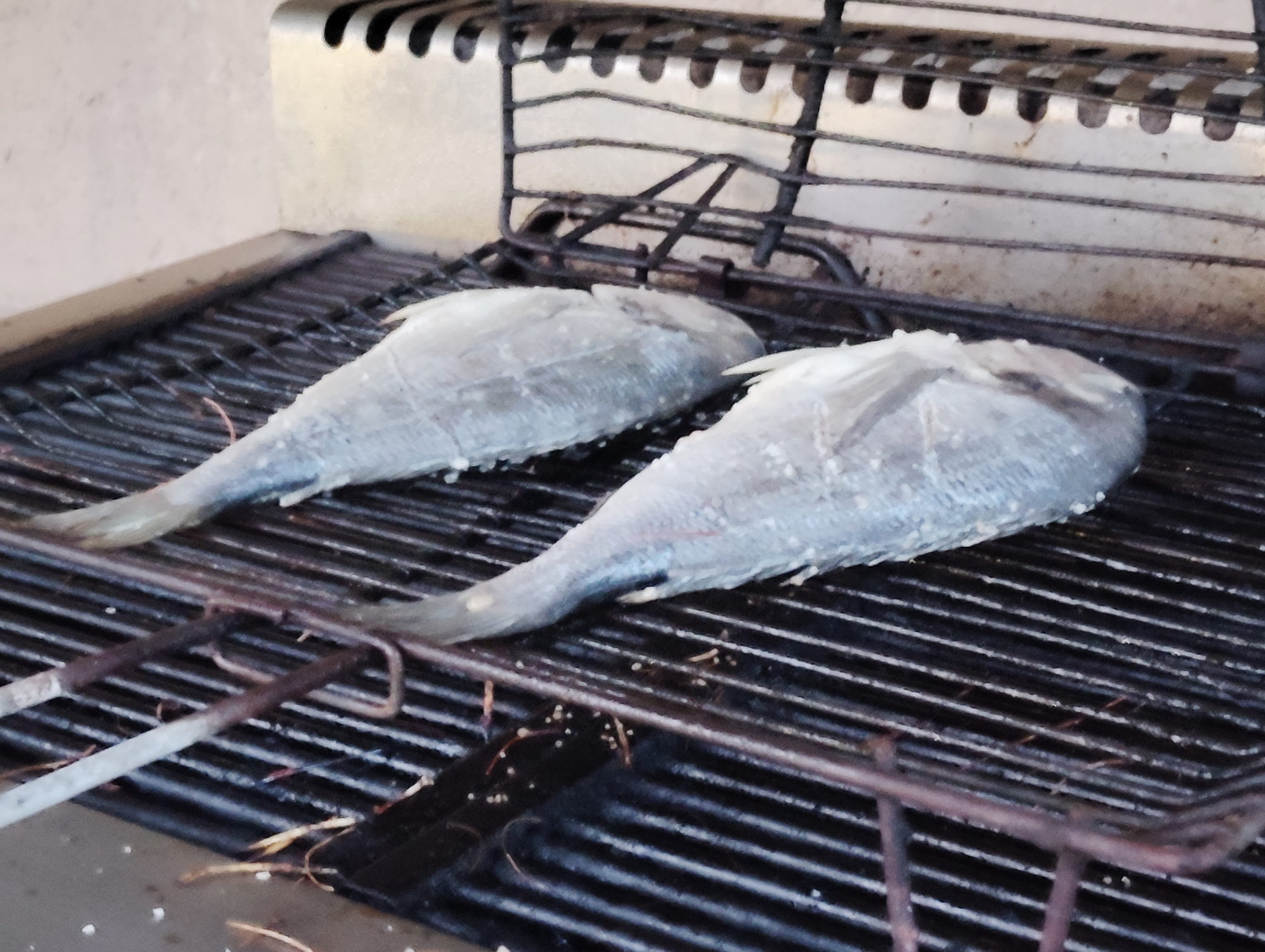 Two whole fish starting to cook on the barbecue grate